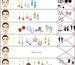 گوشواره براساس فرم صورت